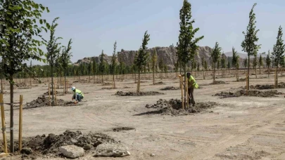 Van Büyükşehir Belediyesi Ihlamur Parkı’yla kente renk katacak