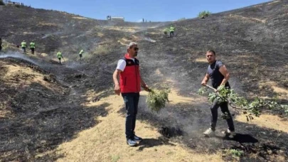 Anız yangınında 40 dönüm arazi kül oldu