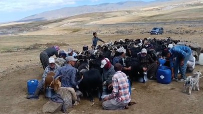 Göçerlerin Ekmek Mücadelesi: Siirt'ten Patnos'a 20 Yıllık Serüven (Videolu Haber)