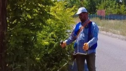 Erciş Belediyesi'nden Yabancı Otlarla Mücadele Çalışmaları