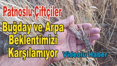 Patnoslu Çiftçiler; Buğday ve Arpa Beklentimizi Karşılamıyor