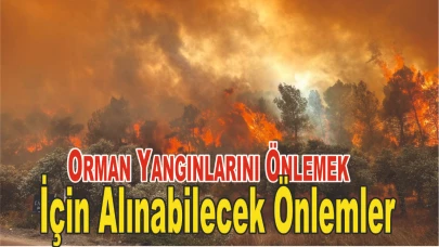 Orman Yangınlarını Önlemek İçin Alınabilecek Önlemler! Uzmanı Uyardı!