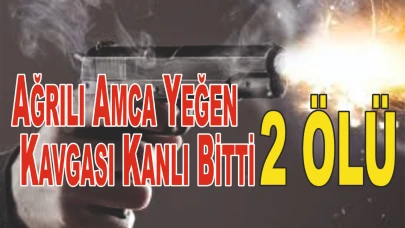 Ağrılı Amca Yeğen Kavgası Kanlı Bitti: 2 Ölü