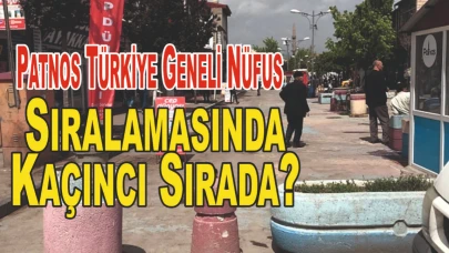 Patnos Türkiye Geneli Nüfus Sıralamasında Kaçıncı Sırada?