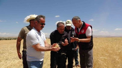 Van'da kuraklık; Ekinler olumsuz etkilendi