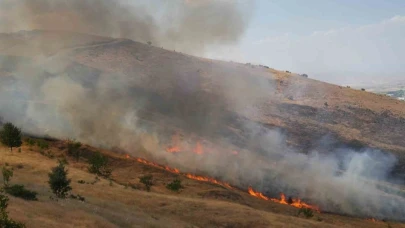 Muş'ta korkutan yangın; Örtü yangını kontrol altına alındı