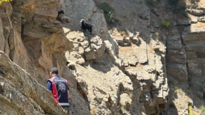 Koyunlar dağda Mahsur Kaldı; Ekipler Harekete Geçti