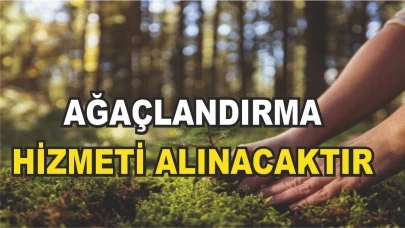 AĞAÇLANDIRMA TESİS HİZMETi ALINACAKTIR