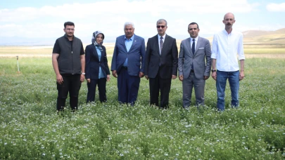 (Videolu Haber) Ağrı’da İlk Kez Çörek Otu Ekildi