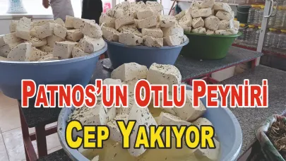 Patnos’un Otlu Peyniri Lüks Olma Yolunda: Fiyatlar Cep Yakıyor