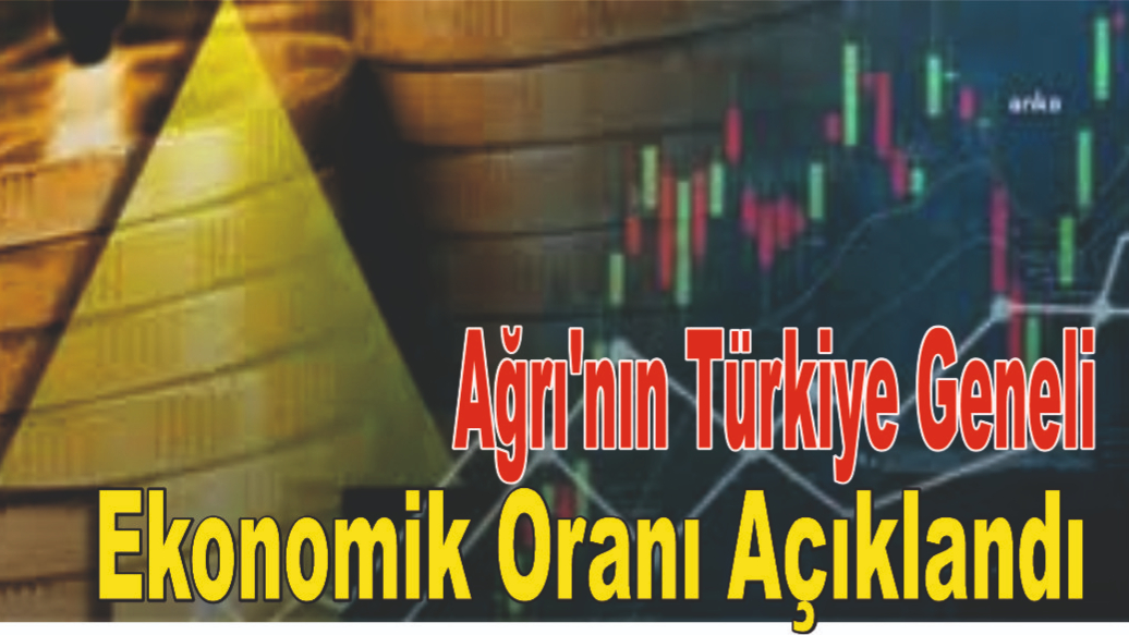 TÜİK Verilerine Göre Ağrı'nın Ülke Sıralamasınad Ekonomik Ortalaması Açıklandı