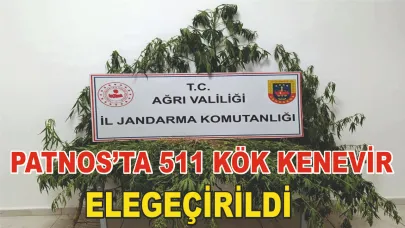 Patnos ve Doğubayazıt'ta Uyuşturucu operasyonu
