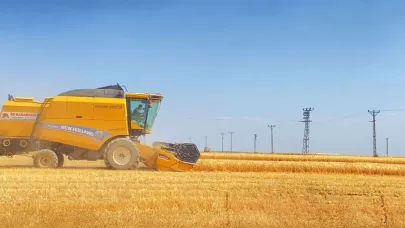 Adilcevaz’da buğday hasadı başladı