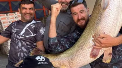 1 buçuk metrelik balık oltaya takıldı