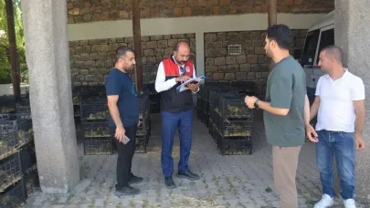 Bulanık’ta "Kaz Yetiştiriciliği" projesi kapsamında kaz palazı dağıtıldı