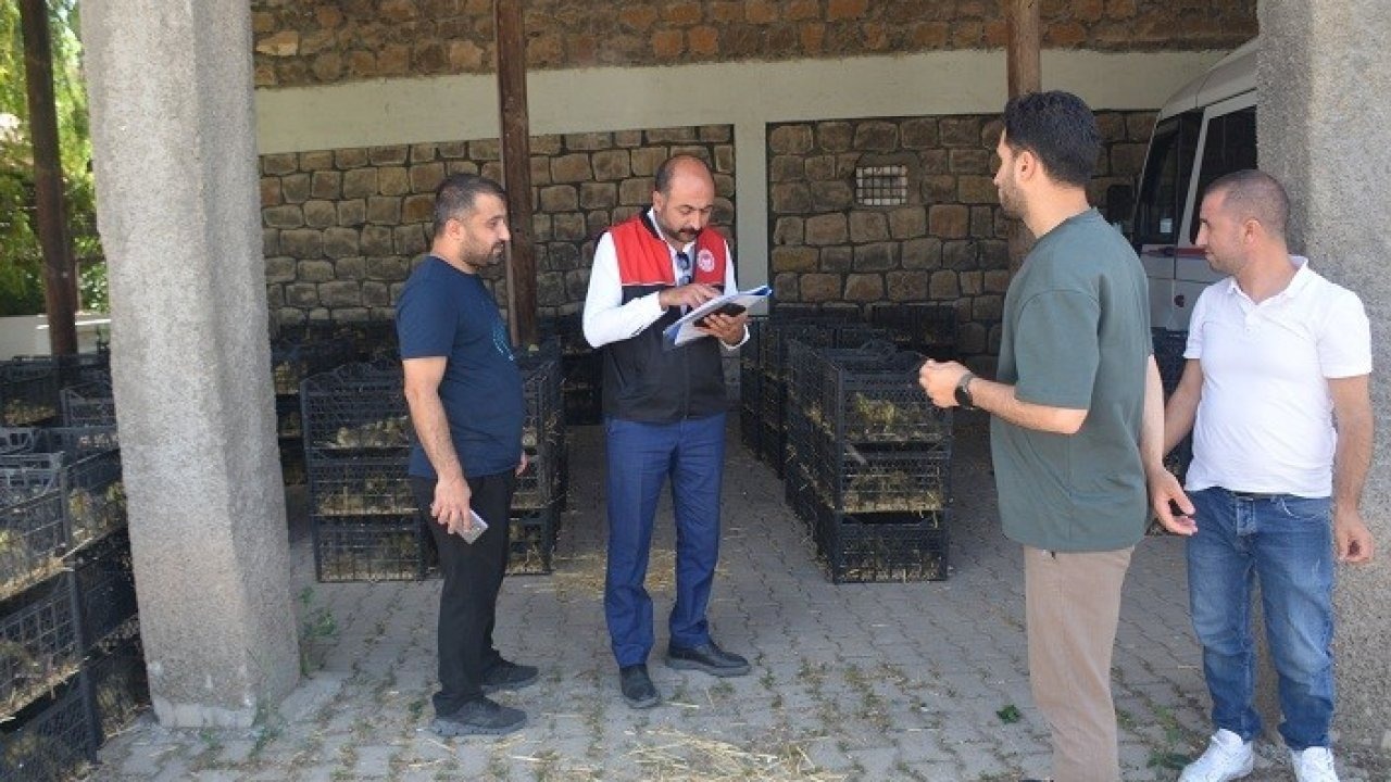 Bulanık’ta "Kaz Yetiştiriciliği" projesi kapsamında kaz palazı dağıtıldı