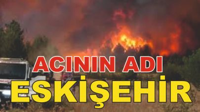 Orman Yangınında 10 Kahraman Şehit Oldu