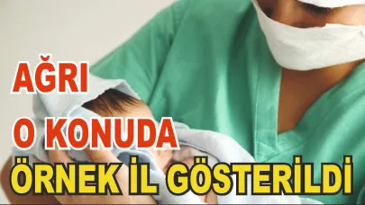 Ağrı Örnek İl Gösterildi