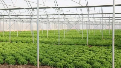 Erzincan ‘Sera Üssü’ olma yolunda ilerliyor