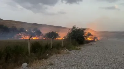 Ağaçlık alanda çıkan yangın büyümeden sondürüldü