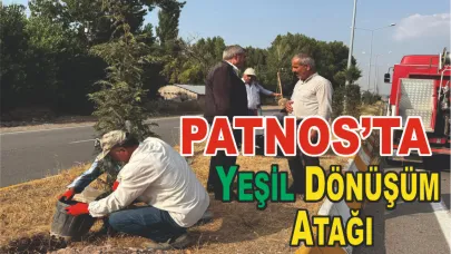 Patnos Belediyesi'nden Yeşil Dönüşüm Atağı