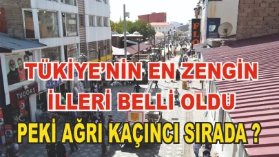 Ağrı Türkiye'nin En Zengin İlleri Sıralamasında Kaçıncı