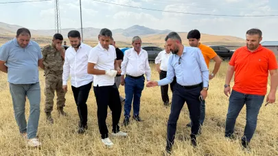 Hamur’da Tarım Zararları Yerinde Tespit Edildi