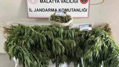 Malatya’da jandarmadan uyuşturucu operasyonu