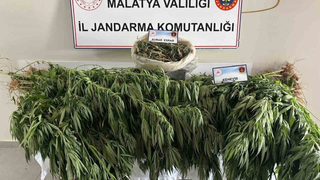 Malatya’da jandarmadan uyuşturucu operasyonu