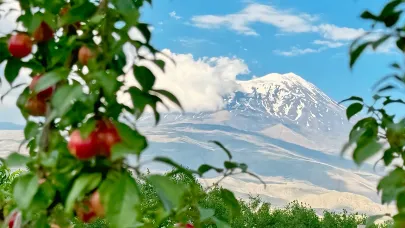 Meyvelerle Bütünleşen Zirve “Ağrı Dağı”