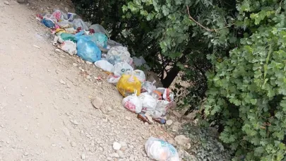 Kaval Şelalesi’nde çevre kirliliği büyüyor