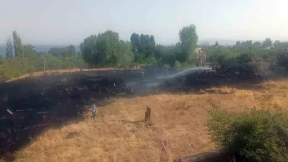 Tarihi Kale mezarlığındaki yangın korkuttu