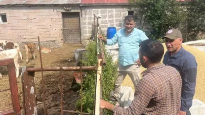 Şap hastalığıyla mücadele sürüyor