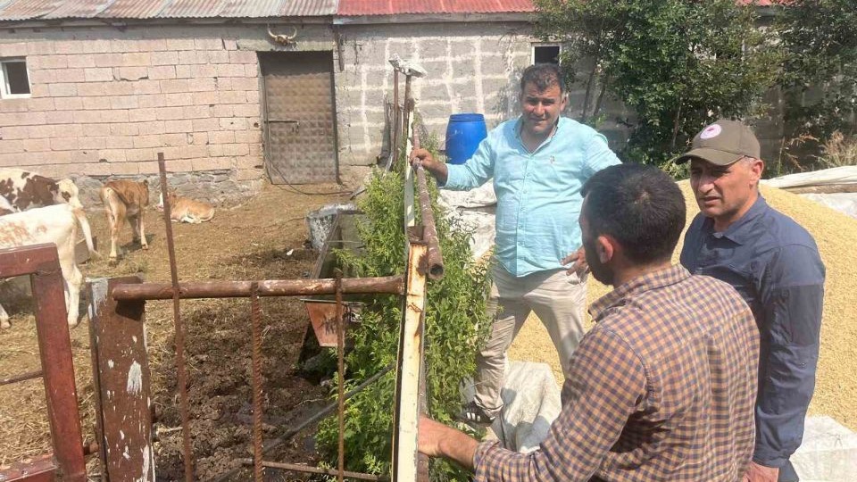 Şap hastalığıyla mücadele sürüyor