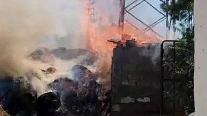 Elektrik direğinden kopan kablo yangına neden oldu