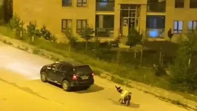 Eşşeğeeziyet vicdan sızlattı