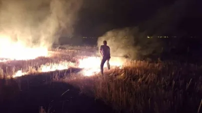 Bir anız yangını da Muş'tan