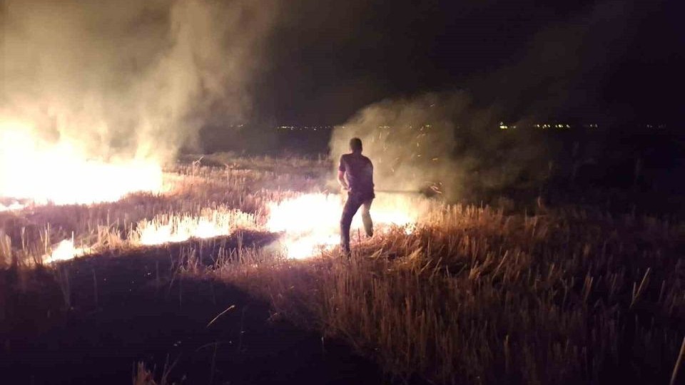 Bir anız yangını da Muş'tan