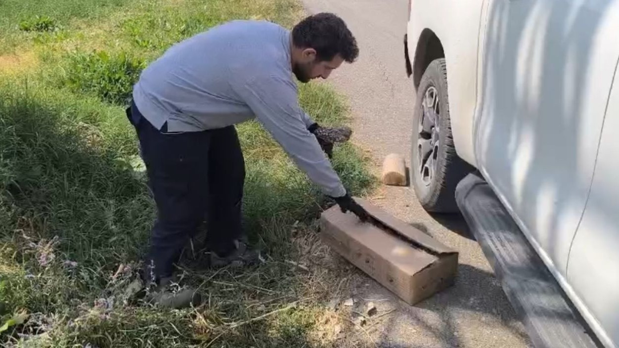 Yüksekova'da yaralı baykuş ekipler tarafından kurtarıldı