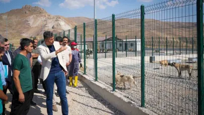 Vali Çelik: "Sokak hayvanları için güvenli, sağlıklı yaşam alanları oluşturuyoruz"