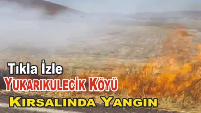 Yukarıkulecik Köyü Kırsalında Yangın