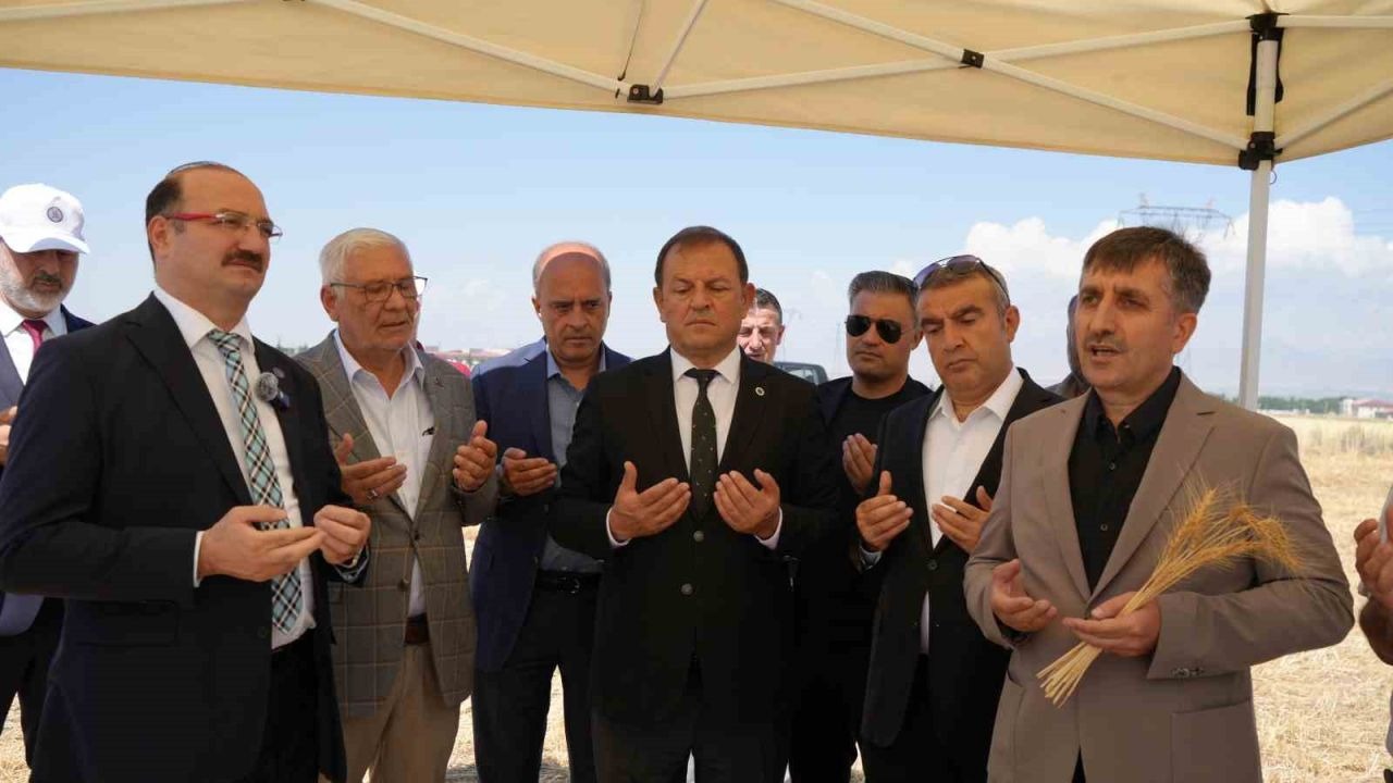Erzurum Atatürk Üniversitesi’nde buğday hasadı vakti