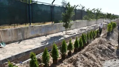 Patnos'un Çevresi düzenlenerek estetik görüntü oluşturuluyor