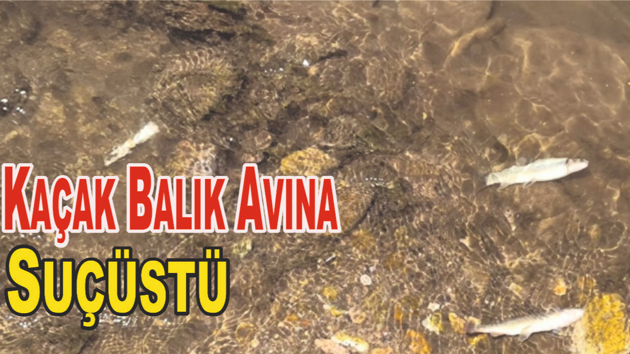 Zararlı Yöntemle Balık Avlayan 3 Kişi Yakalandı