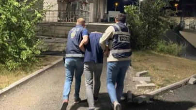 Kars'taki yangına sebep olan kişinin 27 suç kaydı çıktı