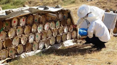 Arıcıları tehdit eden yeni bir fartör çıktı