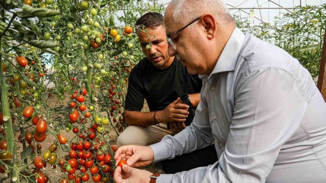 Van Ata Tohumu Hasadı Başladı
