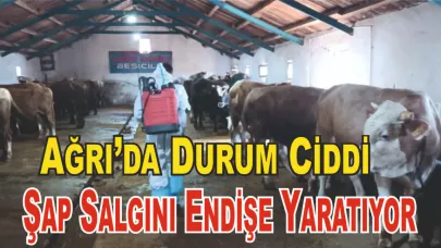 Hayvancılıkta Büyük Tehdit: Şap Hastalığı Yayılıyor