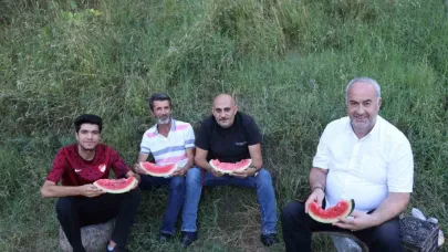 Karain karpuzunun hasadı başladı
