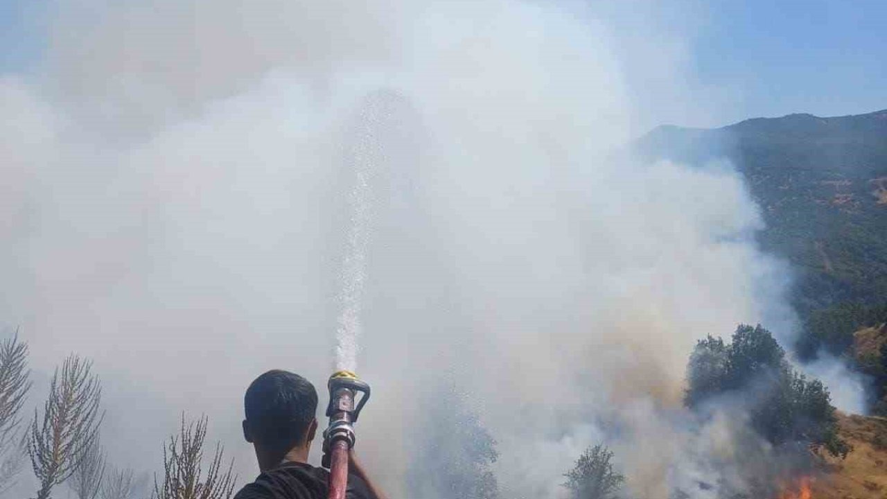 Kırsal alanda çıkan yangın büyümeden söndürüldü